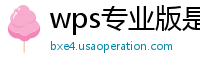 wps专业版是免费软件吗安全吗知乎文章下载不了吗